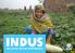 INDUS. Inclusive water governance