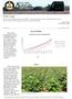 Volume XLI Issue 8, May 25, General Situation. Cotton