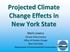Projected Climate Change Effects in New York State