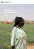 SUDAN PLAN OF ACTION ( ) SUMMARY UNAMID