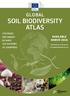 GLOBAL SOIL BIODIVERSITY ATLAS