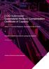 CCIQ Submission Queensland Workers Compensation Certificate of Capacity