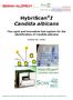 HybriScan I Candida albicans