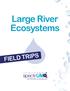 Large River Ecosystems