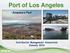 Port of Los Angeles. America s Port. Distribution Management Association January 2016