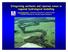 Integrating wetlands and riparian zones in regional hydrological modelling