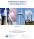 Retail Electricity Choice Activity Report 2010