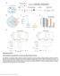 Nature Genetics: doi: /ng Supplementary Figure 1. H3K27ac HiChIP enriches enhancer promoter-associated chromatin contacts.