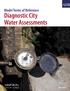 Diagnostic City Water Assessments