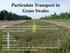 Particulate Transport in Grass Swales