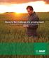 Rising to the challenge of a growing need. Fungicide solutions for cereals from seeding to harvest.