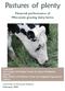 Pastures of plenty. Financial performance of Wisconsin grazing dairy farms. Prepared by Tom Kriegl, UW-Madison Center for Dairy Profitability
