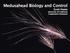 Medusahead Biology and Control. Scott Oneto University of California Cooperative Extension