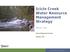Icicle Creek Water Resource Management Strategy