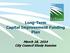 Long-Term Capital Improvement Funding Plan. March 18, 2014 City Council Study Session