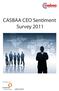 CASBAA CEO Sentiment Survey 2011