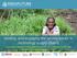Entry points for scaling: Microfinance and rural lending, and engaging the private sector in technology supply chains