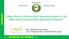 ECOWAP «ECOWAS OF PEOPLE» «West African Initiatives and Operationalization of the West Africa Climate Smart Agriculture Alliance»