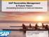 SAP Receivables Management & Future Vision: Orchestrating Excellence in Credit and Collections