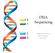 DNA Sequencing. Happiness Kumburu BSU- workshop Nov, 2016