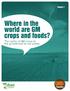 Where in the world are GM crops and foods?