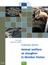 Food and Veterinary Office. Overview report. Animal welfare at slaughter in Member States FVO. Health and Food Safety