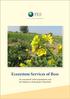 Ecosystem Services of Bees. An assessment of bee populations and bee habitats in Kalyanpura Watershed