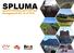 SPLUMA. Spatial Planning and Land Use Management Act 16 of 2013