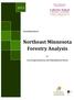 Northeast Minnesota Forestry Analysis