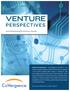 VENTURE PERSPECTIVES. Social Networking for Business Growth