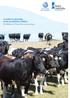 A guide to growing more productive heifers
