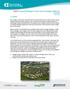DRAFT Natural Heritage & Urban Forest Strategy (NH&UFS) OVERVIEW June 2013