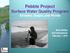 Pebble Project Surface Water Quality Program Streams, Seeps, and Ponds