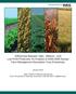 Differences Between High-, Medium-, and Low-Profi t Producers: An Analysis of Kansas Farm Management Association Crop Enterprises