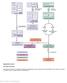 Nature Genetics: doi: /ng Supplementary Figure 1. Flow chart of the study.