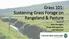 Grass 101: Sustaining Grass Forage on Rangeland & Pasture Retta Bruegger, Range Management, CSU Extension