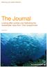 Banking and Capital Markets. The Journal. Looking after number one: Delivering the shareholder value from One programmes