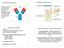 Antigens & Antibodies II. Polyclonal antibodies vs Monoclonal antibodies