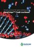 Simple protocol for gene editing using GenCrisprTM Cas9 nuclease