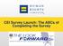 CEI Survey Launch: The ABCs of Completing the Survey