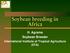 Soybean breeding in Africa