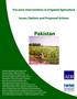 Pro-poor Interventions in Irrigated Agriculture in Pakistan: