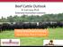 Beef Cattle Outlook R. Curt Lacy, Ph.D. Extension Economist-Livestock University of Florida Beef Cattle Short Coourse