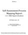 Self-Assessment Process Mapping Report