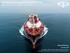 LNG Shipping: How Long Will The Good Times Last?