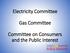 Electricity Committee. Gas Committee. Committee on Consumers and the Public Interest