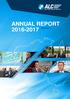 ANNUAL REPORT MARCH 2017