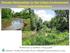 Stream Restoration in the Urban Environment Concepts and Considerations
