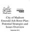 City of Madison Emerald Ash Borer Plan: Potential Strategies and Issues Overview. September 2010