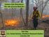 Eastern Oak Silviculture The role of prescribed fire. Dan Dey U.S. Forest Service, Northern Research Station Columbia, MO